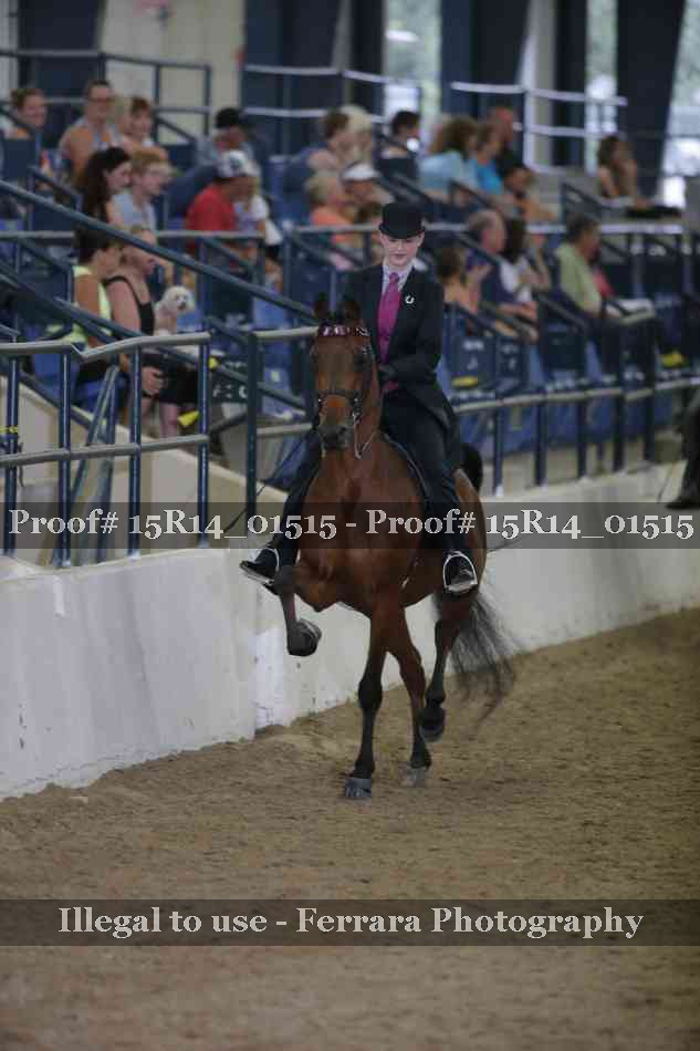Proof 15R14_01515