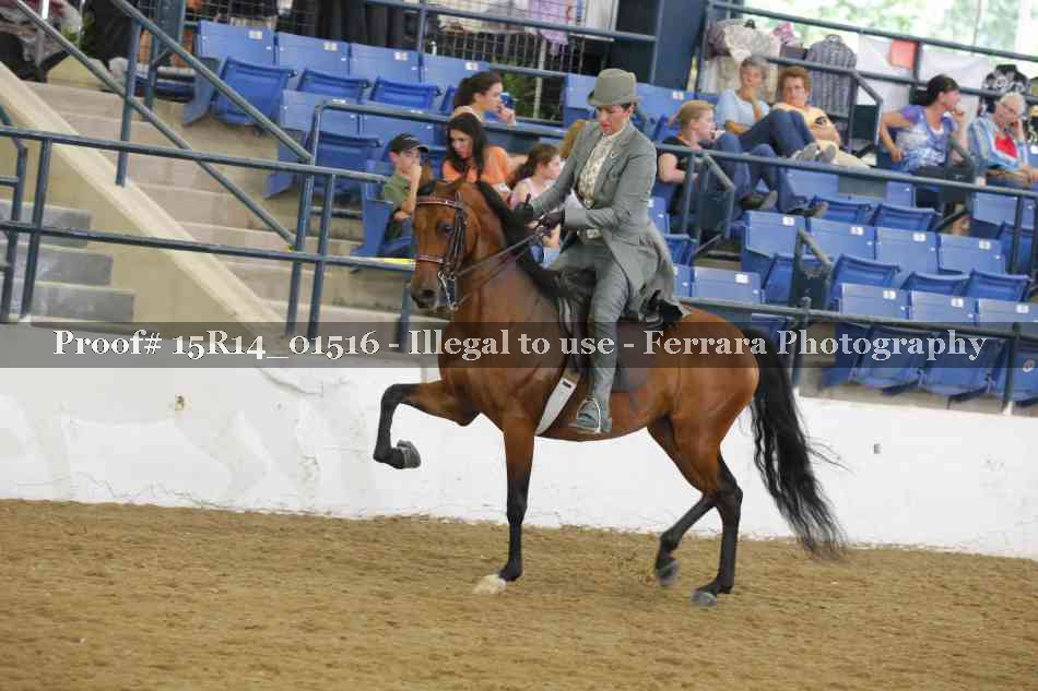 Proof 15R14_01516