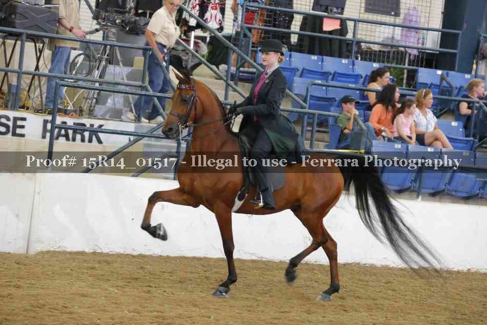 Proof 15R14_01517