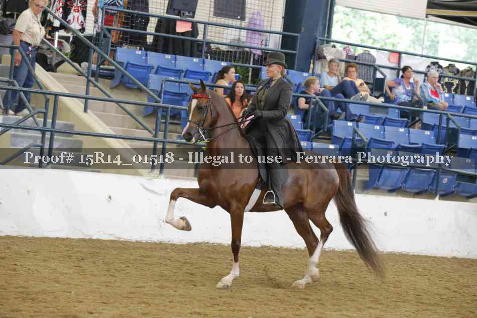 Proof 15R14_01518