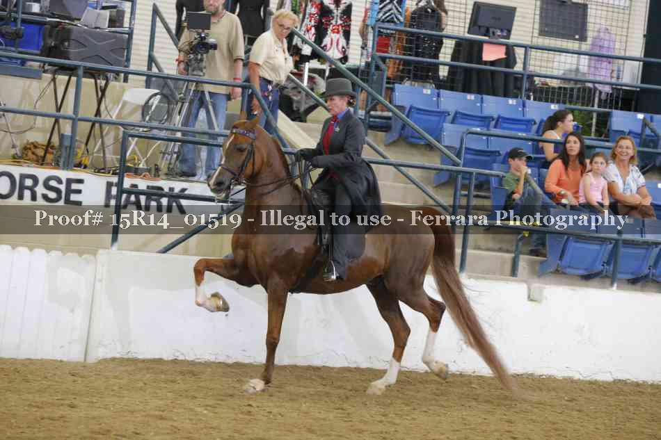 Proof 15R14_01519