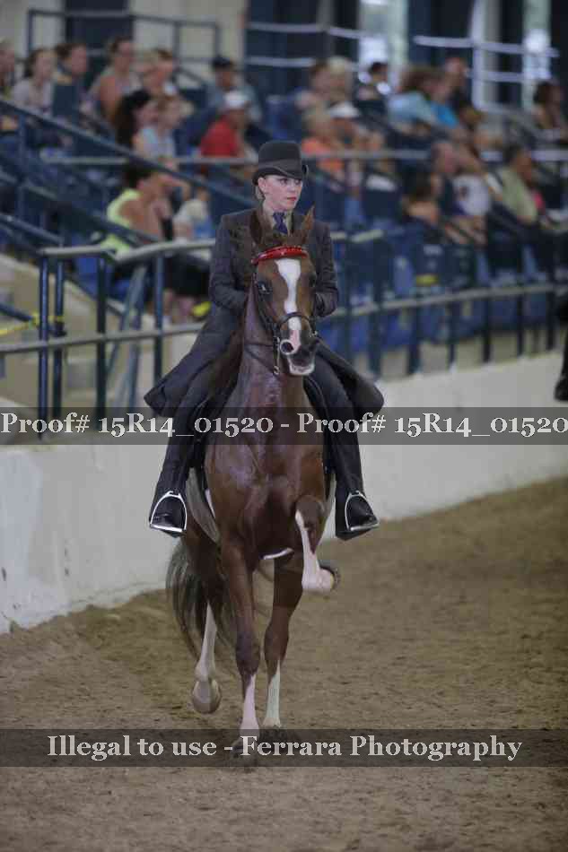 Proof 15R14_01520