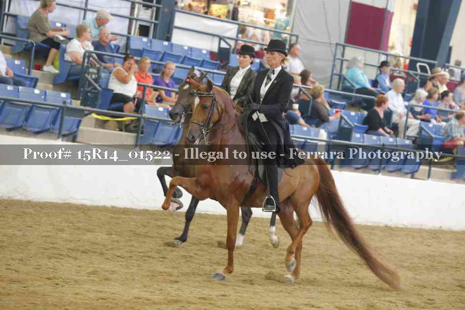 Proof 15R14_01522