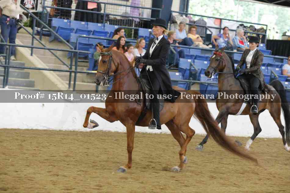 Proof 15R14_01523