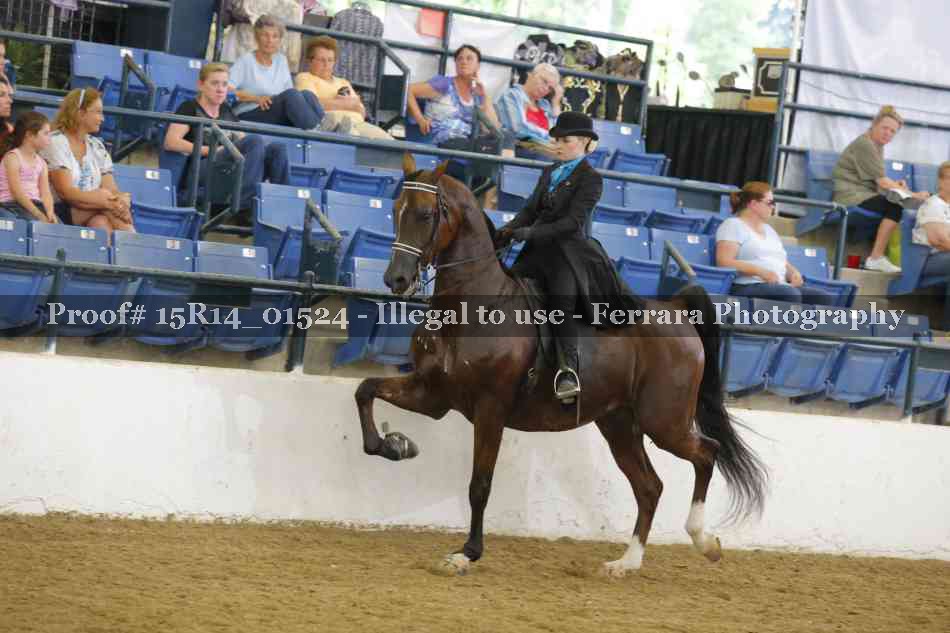 Proof 15R14_01524