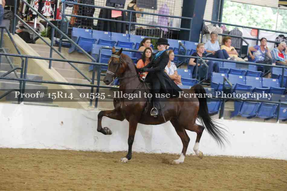 Proof 15R14_01525