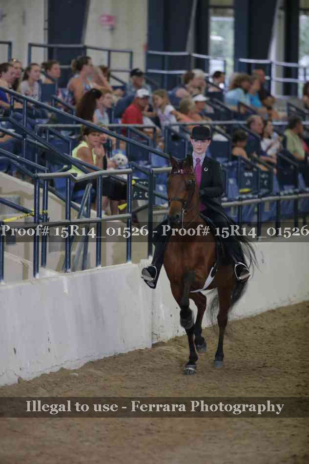 Proof 15R14_01526