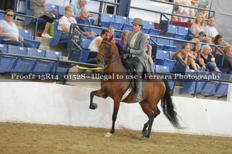 Proof 15R14_01528