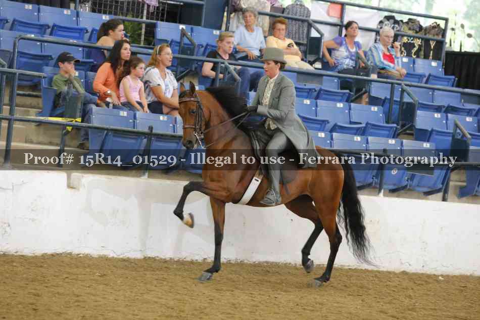 Proof 15R14_01529