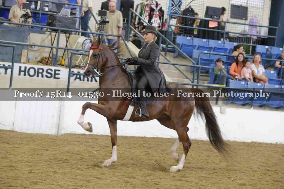 Proof 15R14_01530