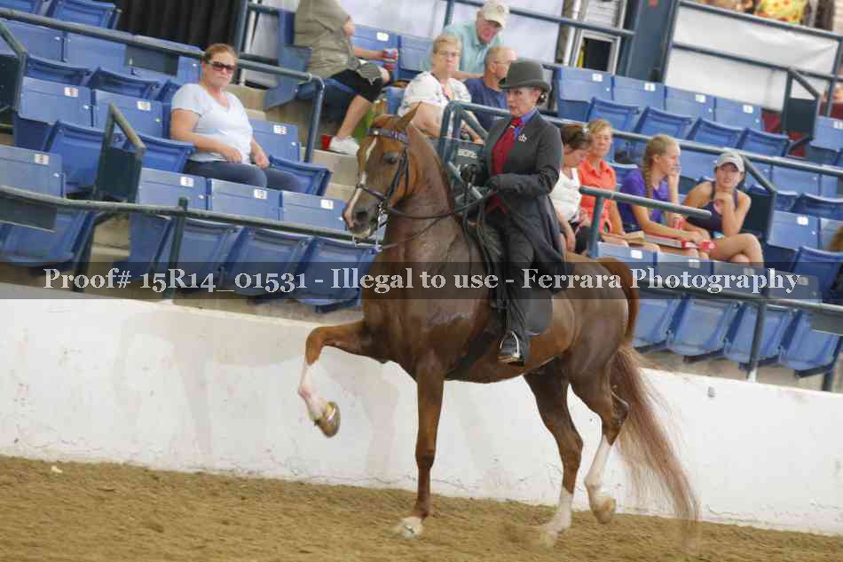 Proof 15R14_01531