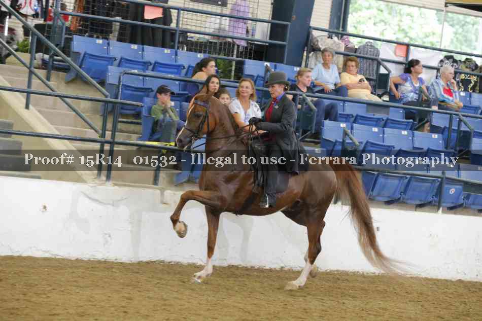 Proof 15R14_01532