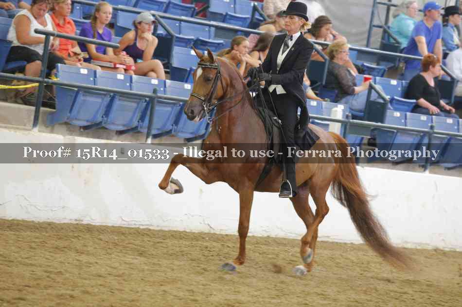 Proof 15R14_01533