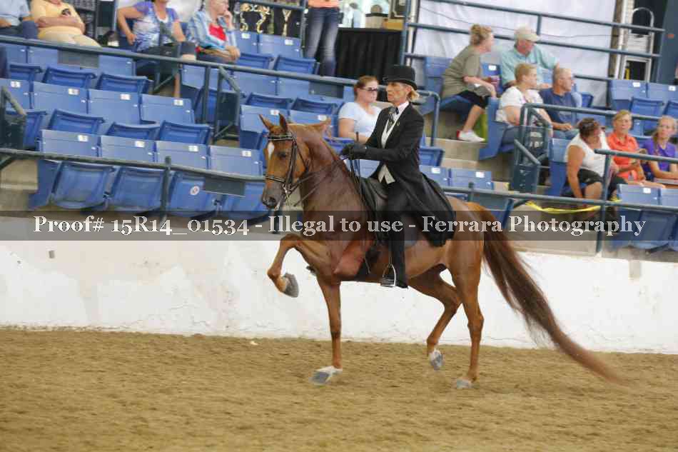 Proof 15R14_01534