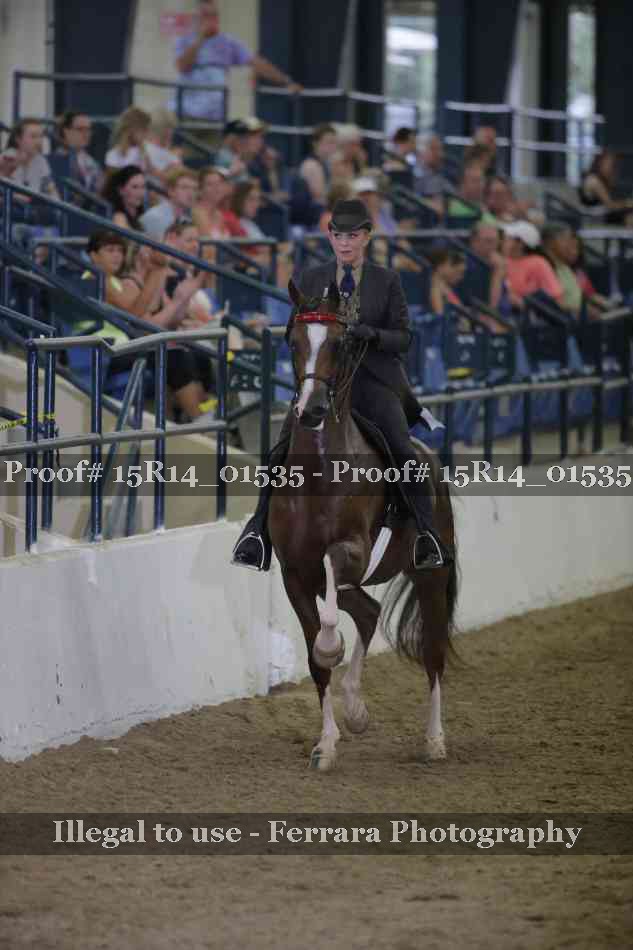 Proof 15R14_01535