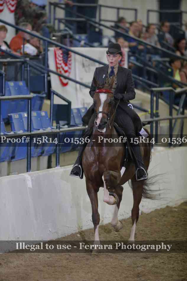Proof 15R14_01536