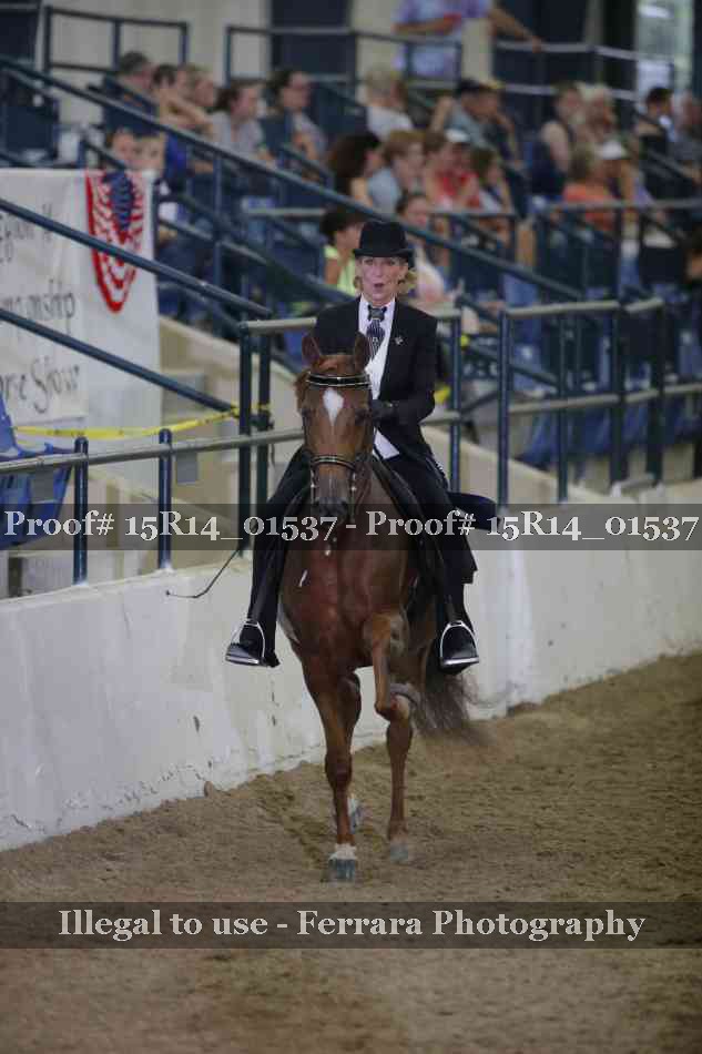 Proof 15R14_01537