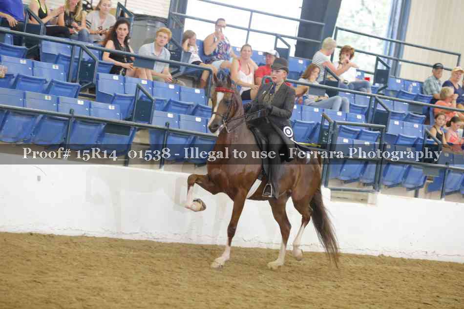 Proof 15R14_01538