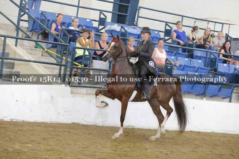 Proof 15R14_01539