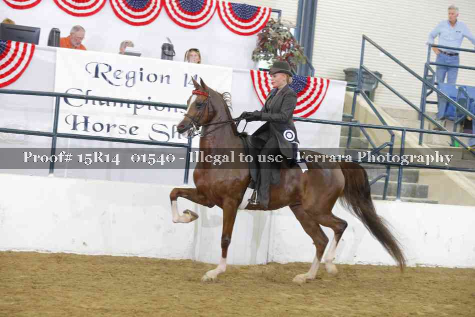 Proof 15R14_01540