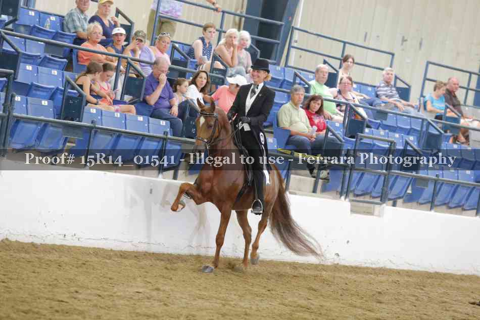 Proof 15R14_01541