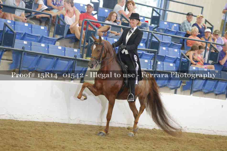 Proof 15R14_01542