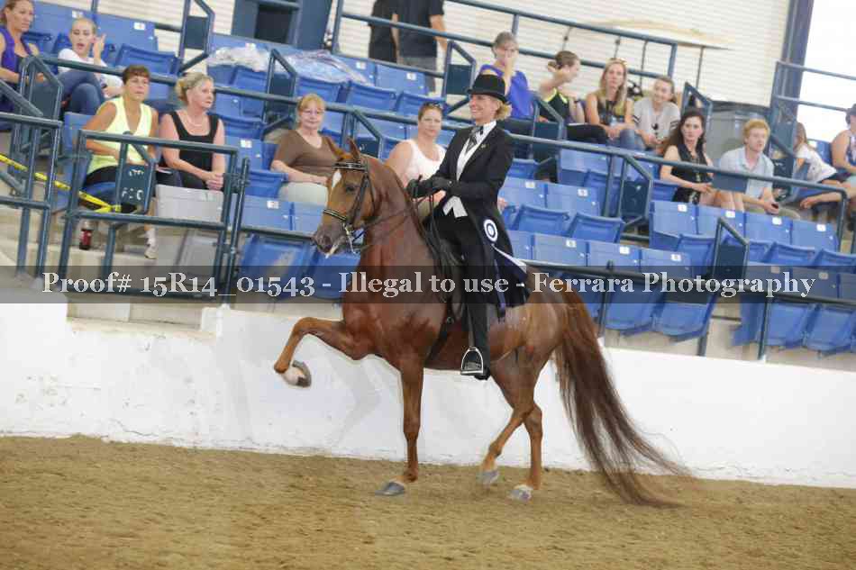Proof 15R14_01543