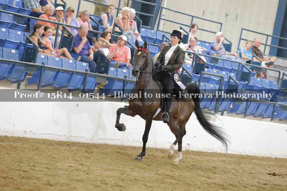 Proof 15R14_01544