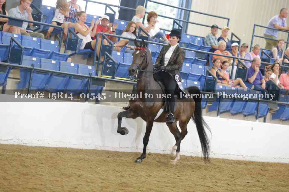 Proof 15R14_01545
