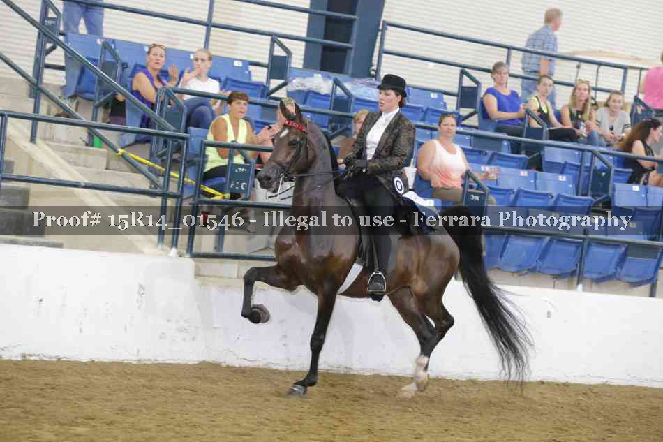 Proof 15R14_01546