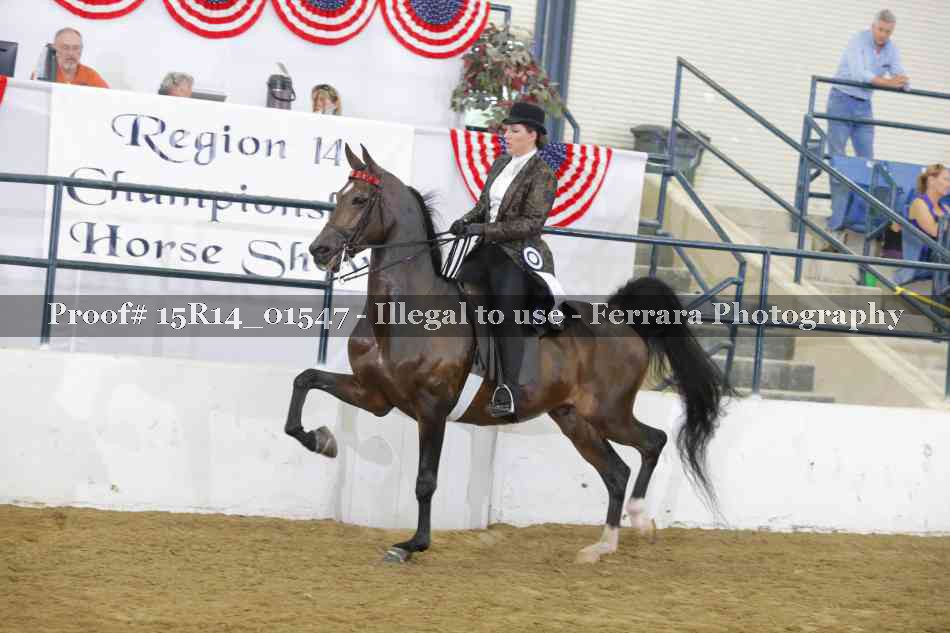 Proof 15R14_01547