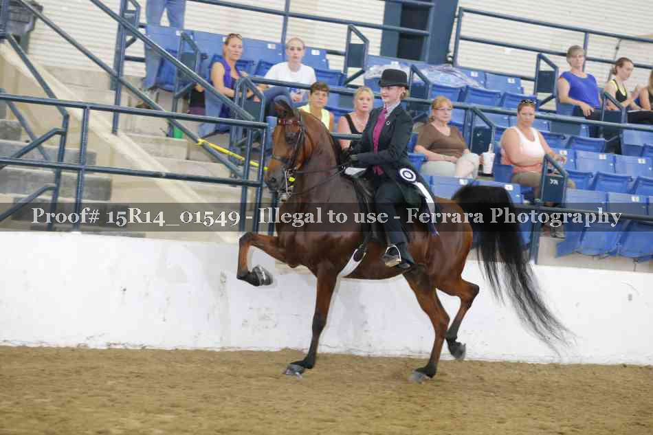 Proof 15R14_01549