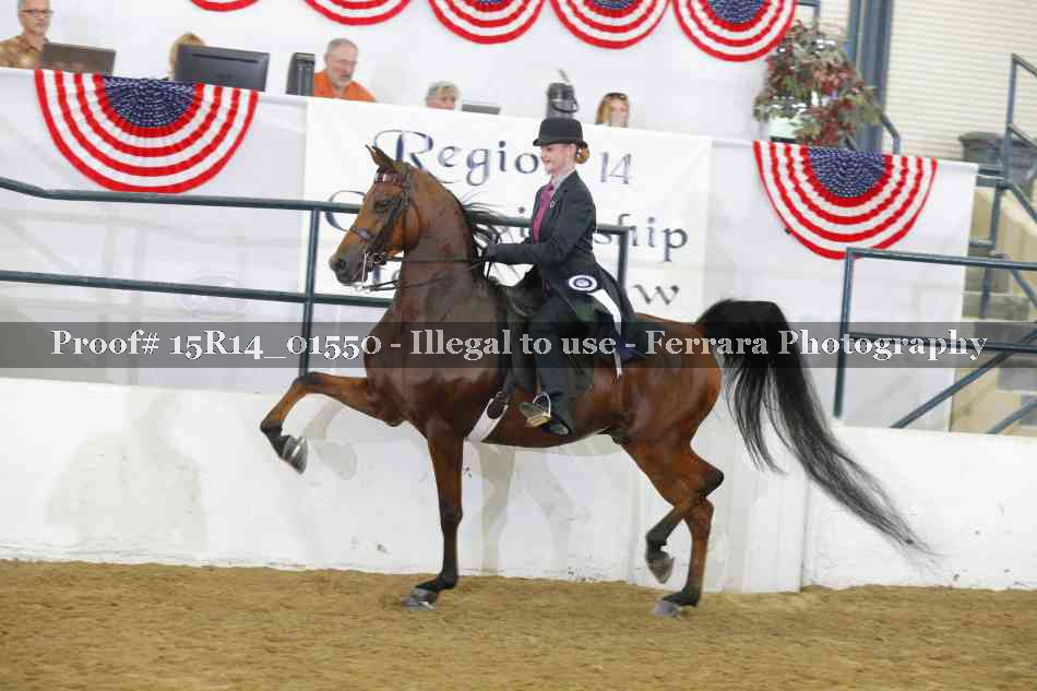 Proof 15R14_01550