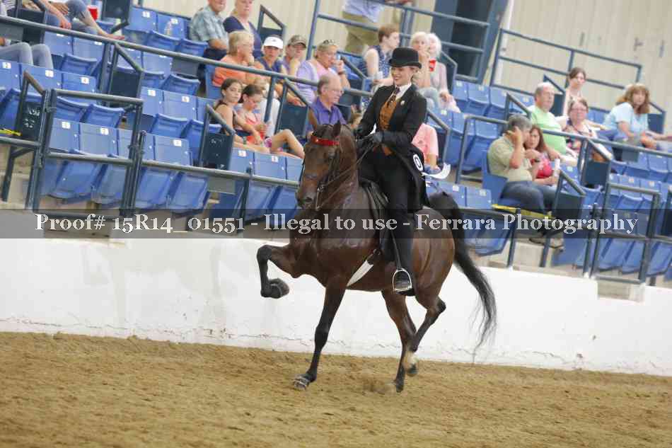Proof 15R14_01551
