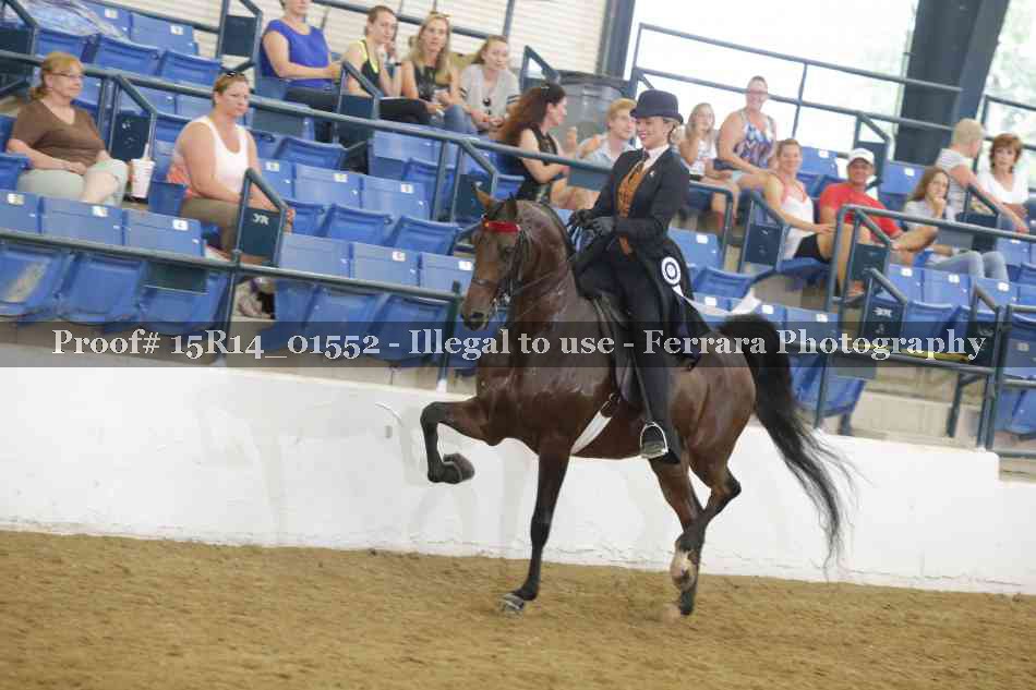 Proof 15R14_01552