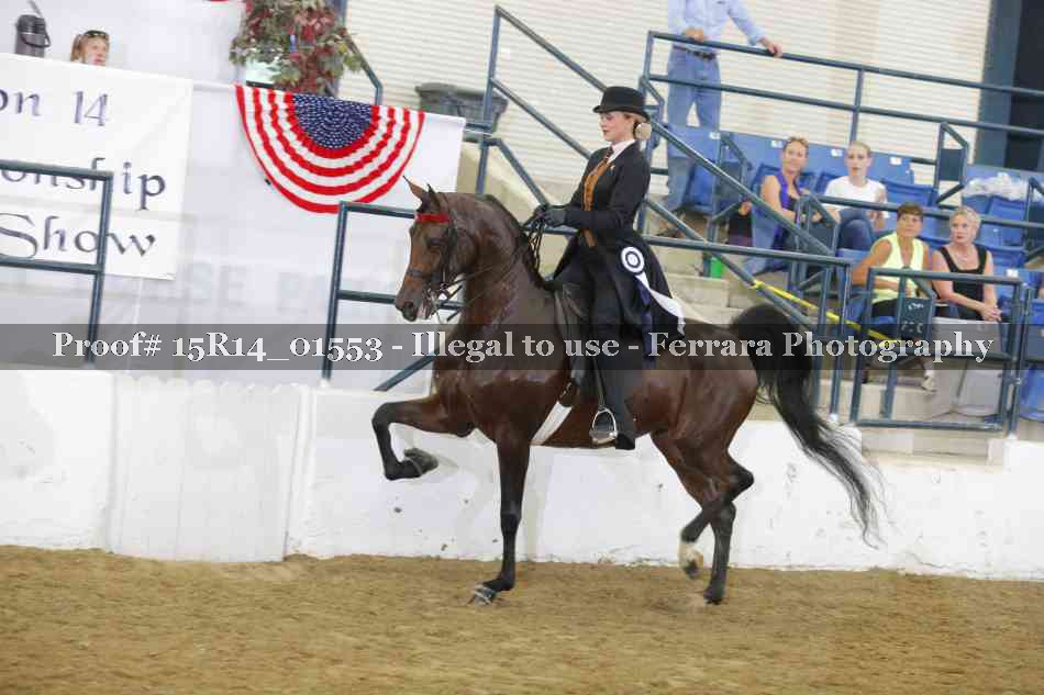 Proof 15R14_01553