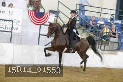 15R14_01553 proof