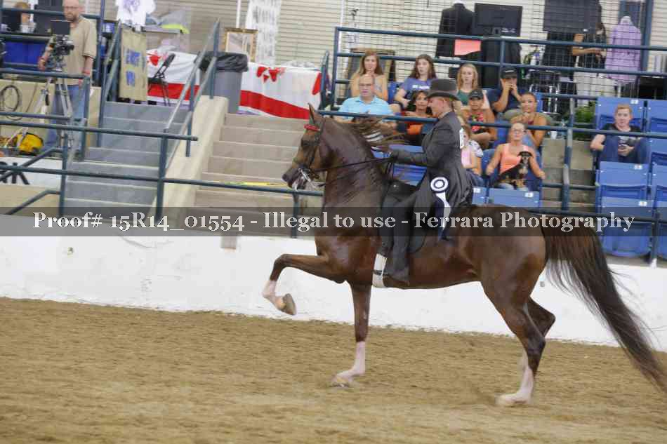 Proof 15R14_01554