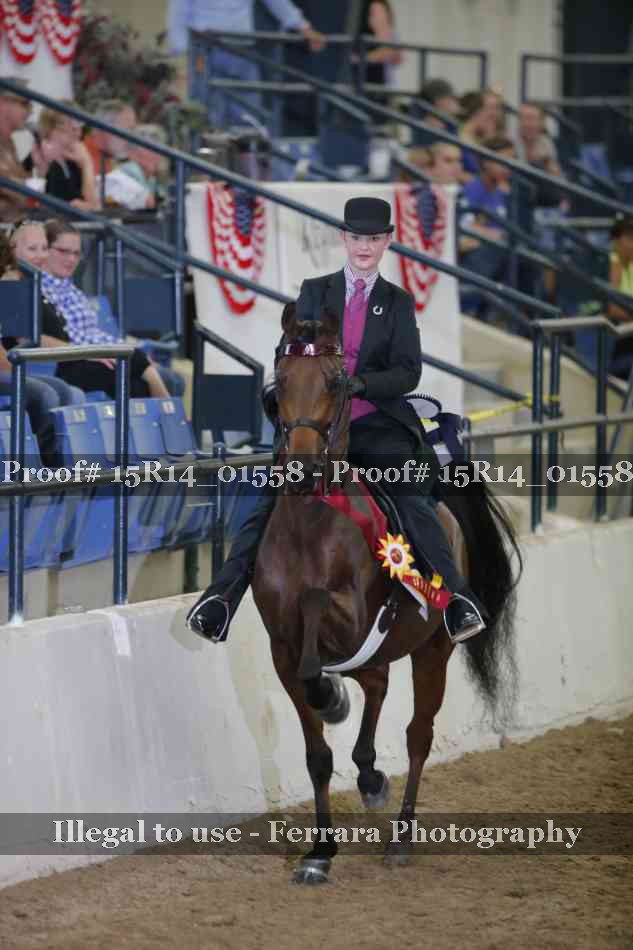 Proof 15R14_01558