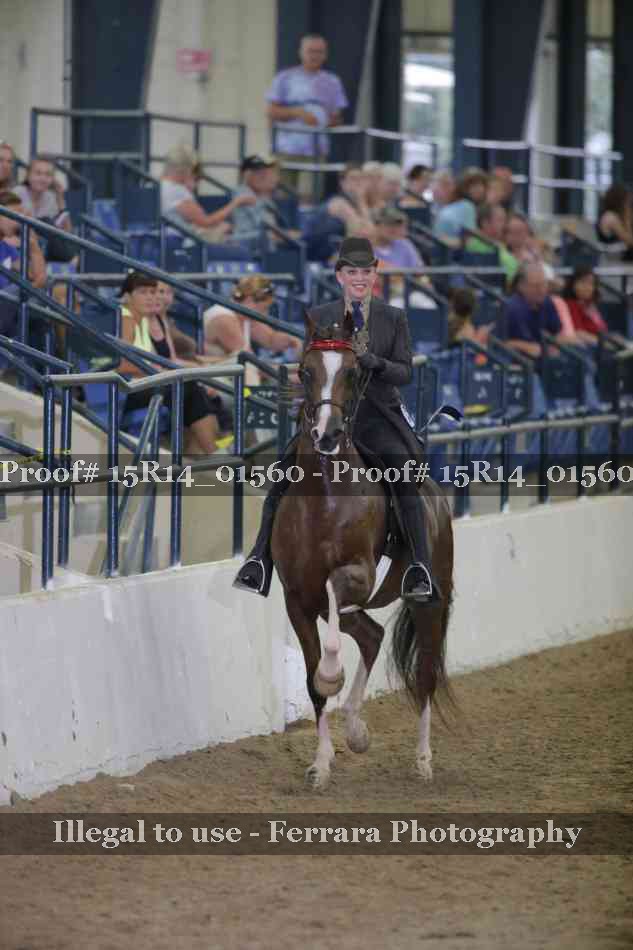 Proof 15R14_01560