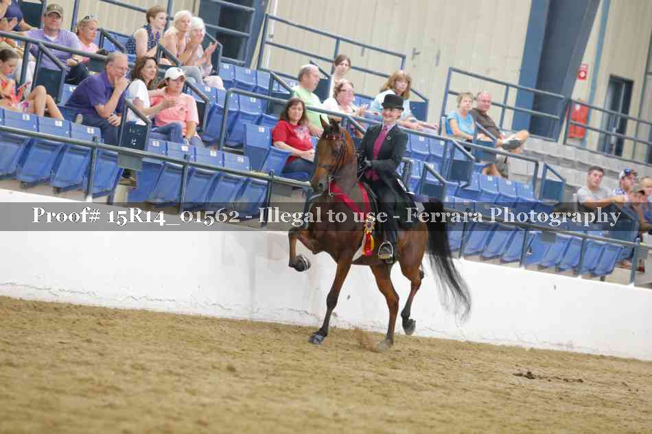Proof 15R14_01562