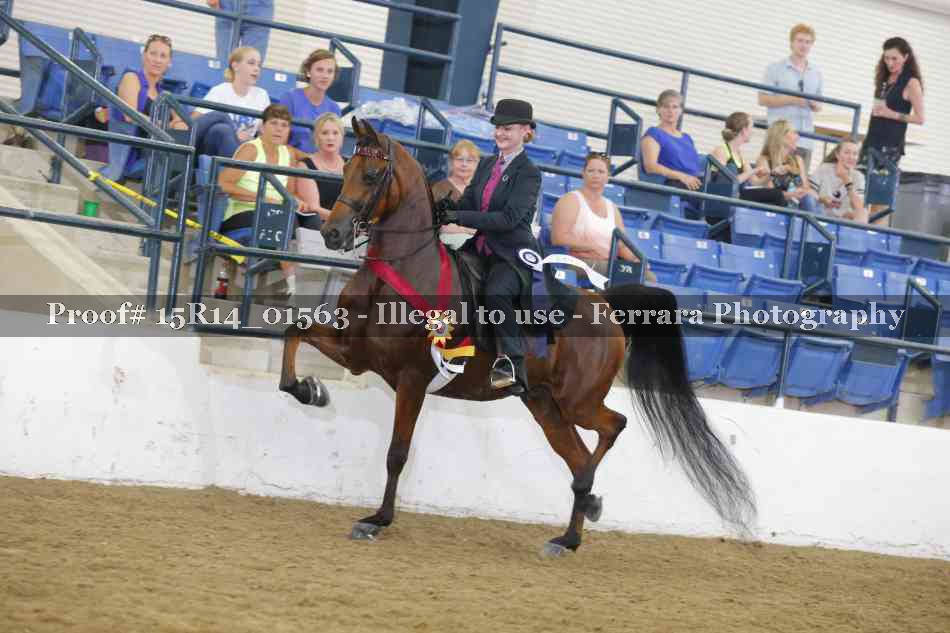 Proof 15R14_01563