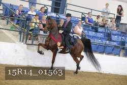 15R14_01563 proof