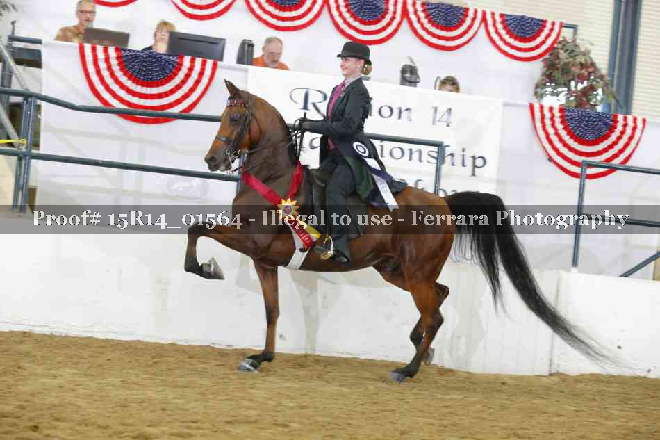 Proof 15R14_01564