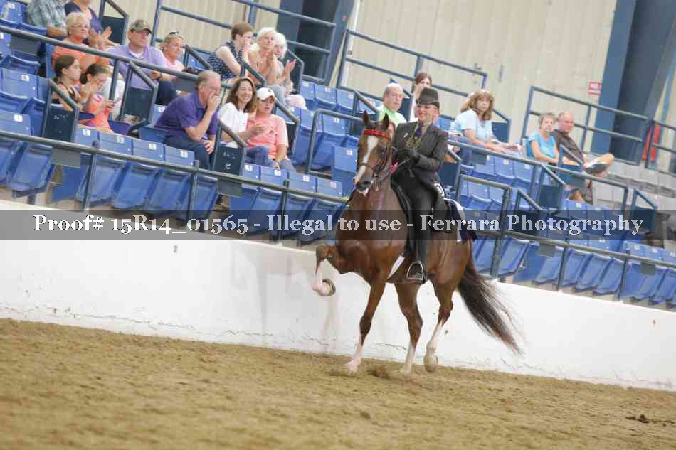 Proof 15R14_01565