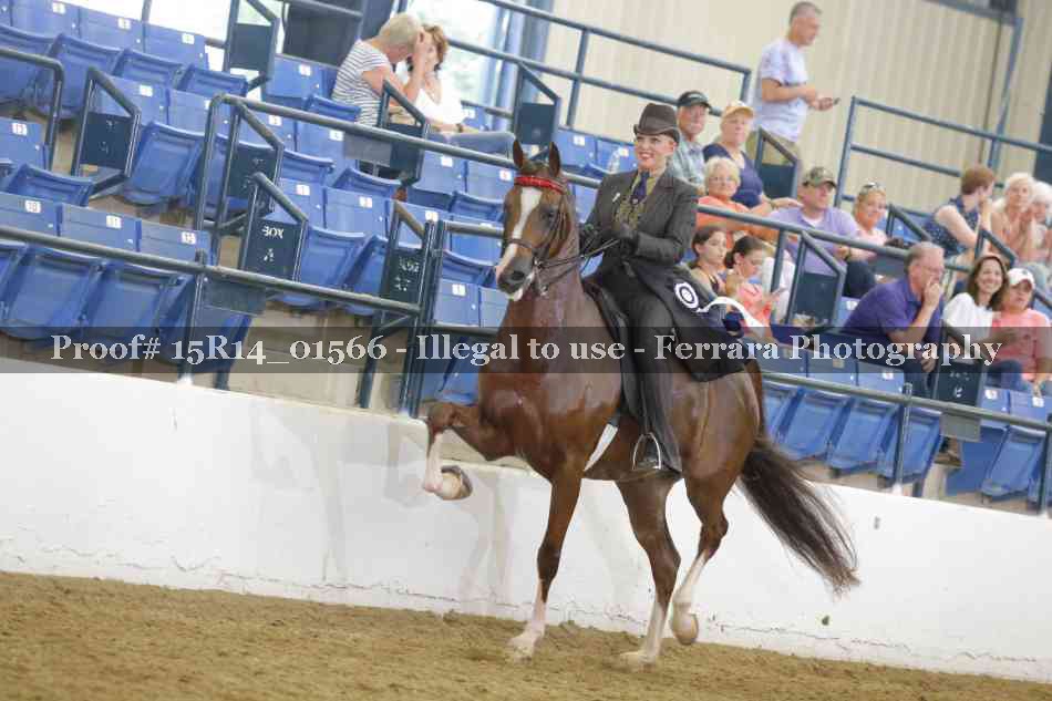 Proof 15R14_01566