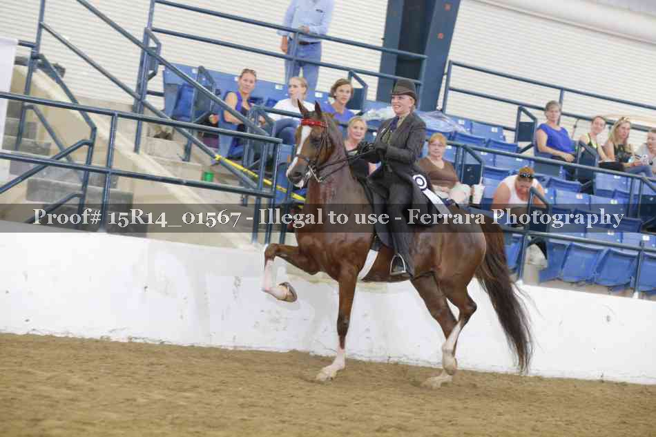 Proof 15R14_01567