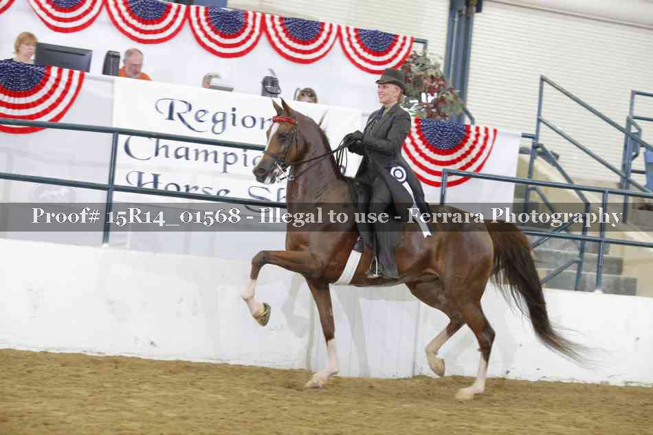 Proof 15R14_01568