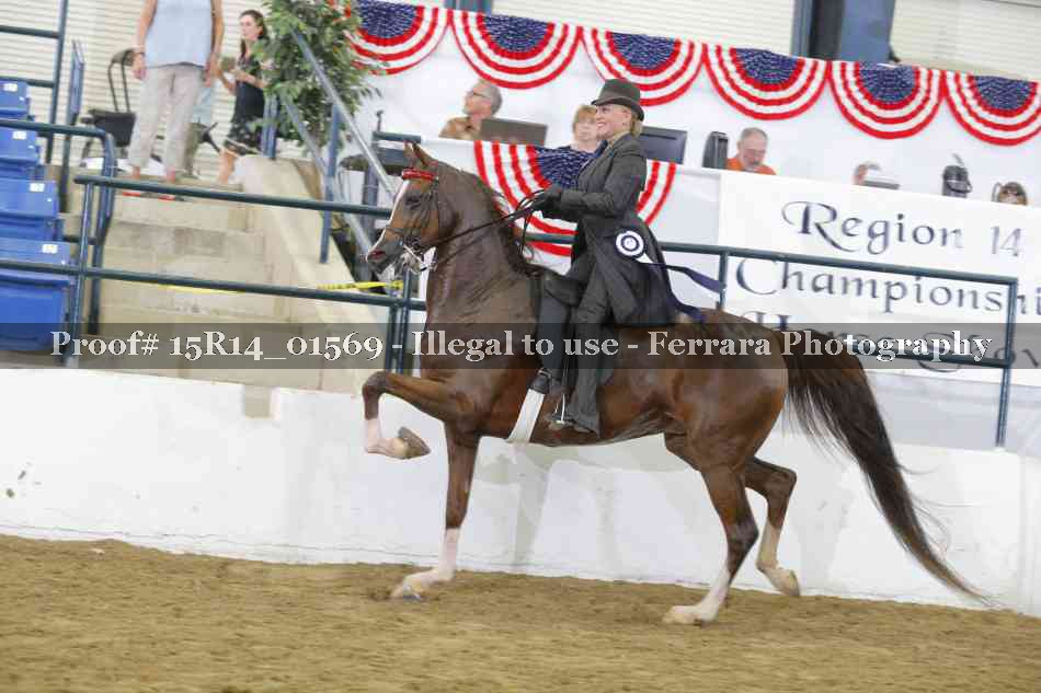 Proof 15R14_01569