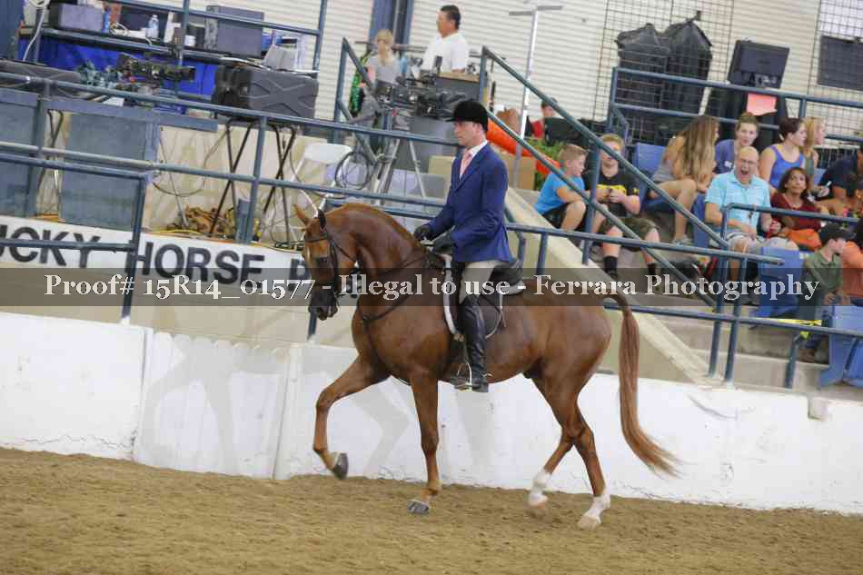 Proof 15R14_01577